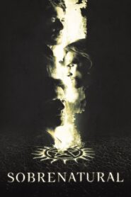 Sobrenatural: Season 14