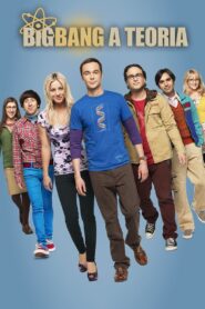 Big Bang: A Teoria: Season 8