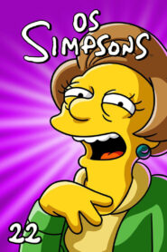 Os Simpsons: Season 22