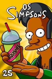 Os Simpsons: Season 25